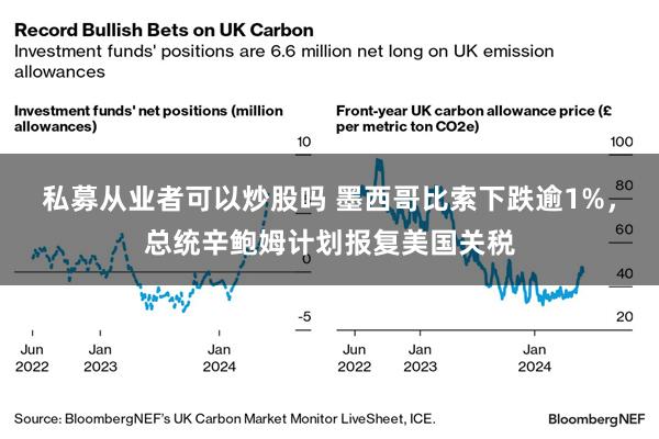私募从业者可以炒股吗 墨西哥比索下跌逾1%，总统辛鲍姆计划报复美国关税