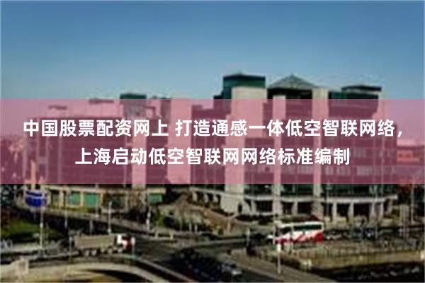 中国股票配资网上 打造通感一体低空智联网络，上海启动低空智联网网络标准编制