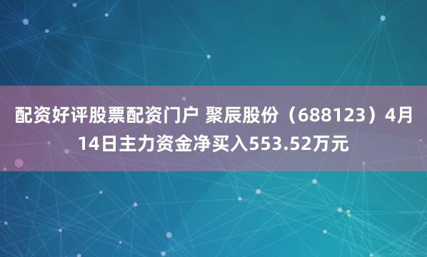 配资好评股票配资门户 聚辰股份（688123）4月14日主力资金净买入553.52万元