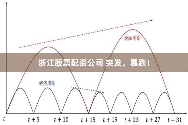 浙江股票配资公司 突发，暴跌！