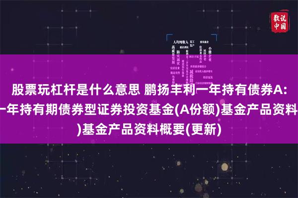 股票玩杠杆是什么意思 鹏扬丰利一年持有债券A: 鹏扬丰利一年持有期债券型证券投资基金(A份额)基金产品资料概要(更新)