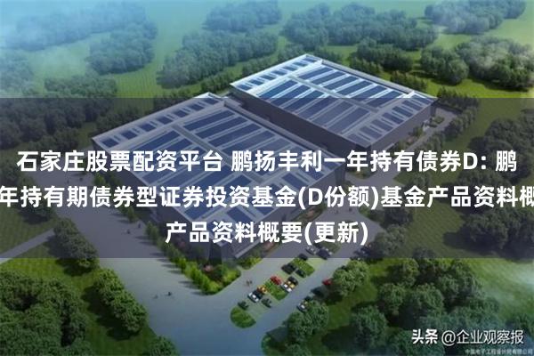 石家庄股票配资平台 鹏扬丰利一年持有债券D: 鹏扬丰利一年持有期债券型证券投资基金(D份额)基金产品资料概要(更新)