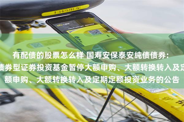有配债的股票怎么样 国寿安保泰安纯债债券: 关于国寿安保泰安纯债债券型证券投资基金暂停大额申购、大额转换转入及定期定额投资业务的公告