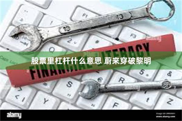 股票里杠杆什么意思 蔚来穿破黎明