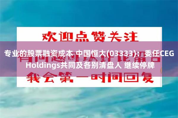 专业的股票融资成本 中国恒大(03333)：委任CEG Holdings共同及各别清盘人 继续停牌