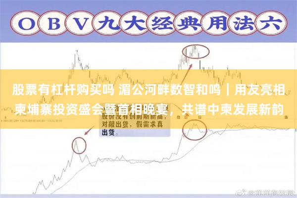 股票有杠杆购买吗 湄公河畔数智和鸣｜用友亮相柬埔寨投资盛会暨首相晚宴，共谱中柬发展新韵