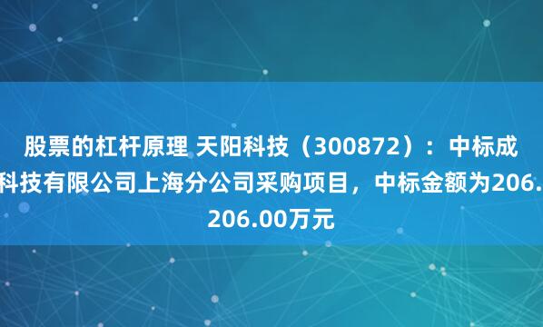 股票的杠杆原理 天阳科技（300872）：中标成方金融科技有限公司上海分公司采购项目，中标金额为206.00万元