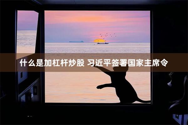 什么是加杠杆炒股 习近平签署国家主席令