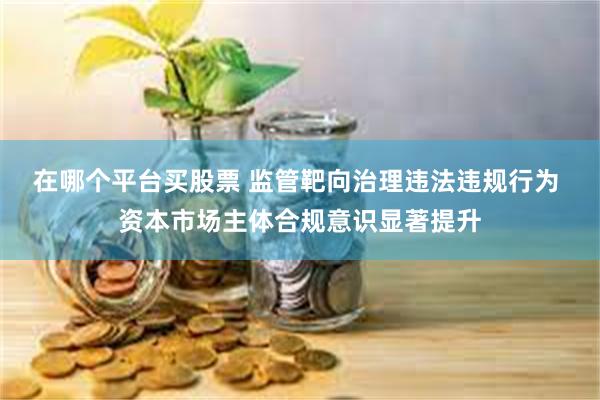在哪个平台买股票 监管靶向治理违法违规行为 资本市场主体合规意识显著提升