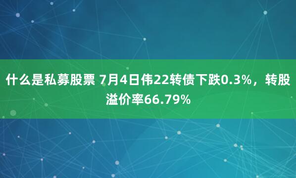 什么是私募股票 7月4日伟22转债下跌0.3%，转股溢价率66.79%