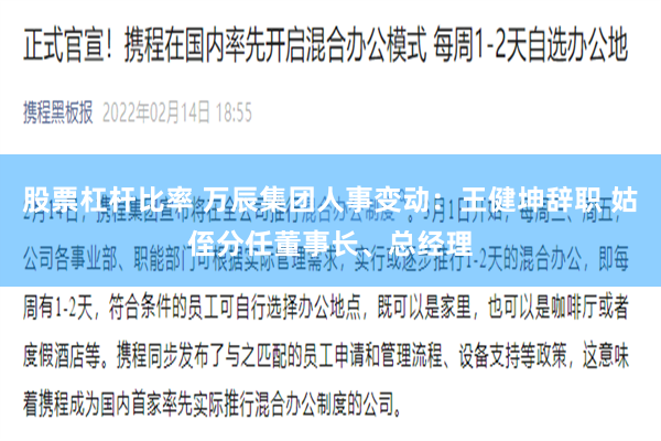 股票杠杆比率 万辰集团人事变动：王健坤辞职 姑侄分任董事长、总经理