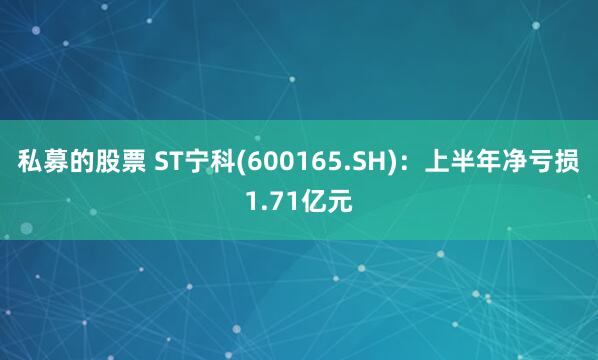 私募的股票 ST宁科(600165.SH)：上半年净亏损1.71亿元