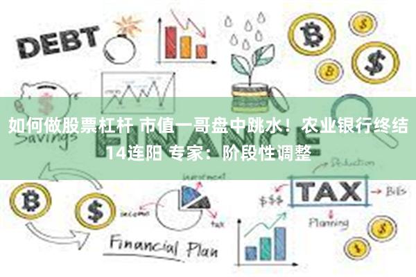 如何做股票杠杆 市值一哥盘中跳水！农业银行终结14连阳 专家：阶段性调整